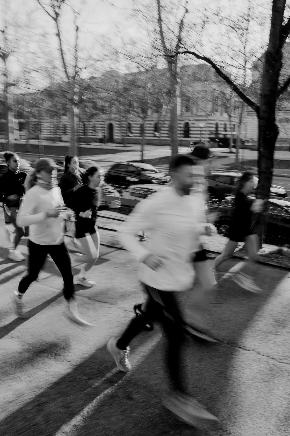 Un peloton de coureurs lancé dans une allée d’arbres, en pleine lumière